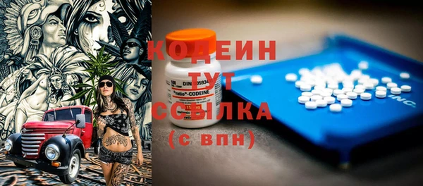 прущий лед Арсеньев