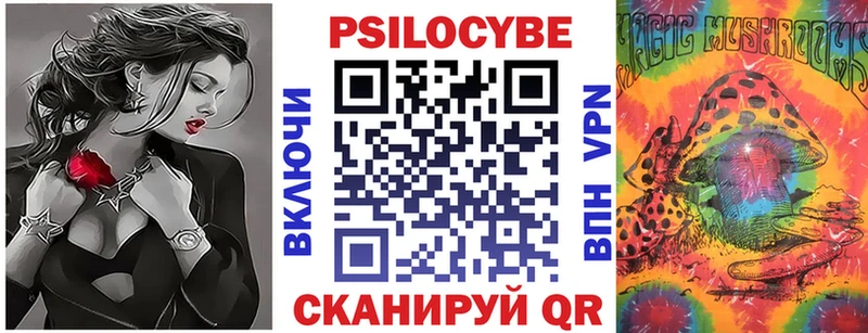 Купить закладки  Минусинск  Псилоцибиновые грибы Psilocybine cubensis 