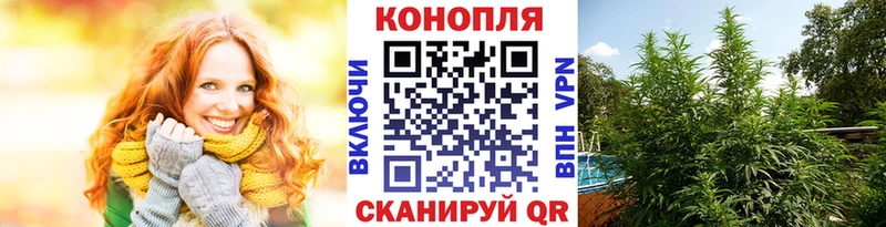Бошки Шишки OG Kush  Купить закладки  Минусинск 